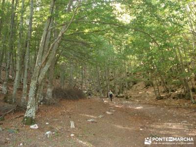 Montaña palentina;atención exclusiva al socio atención exclusiva al cliente